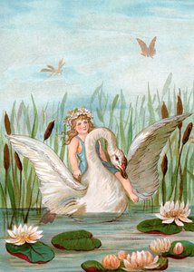 白鳥に乗った妖精が、カタクリとライラックの間を行き交います。 作： English School