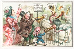動物園で鳥に餌をやる、クリスマスカード 作： English School