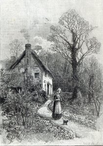 「レジャーアワー」からの最初の花、1888