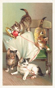 羊毛のボールで遊ぶ4匹の猫 作： English School