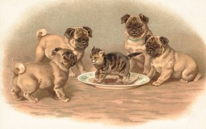 皿の上の子猫の周りに座っている4つのパグ犬 作： English School
