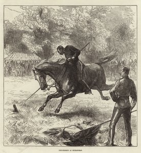 Illustrated London Newsの表紙、1875年6月12日 作： English School