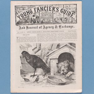 『ヤング・ファンシエ・ガイド』（1874年）の口絵（315145も参照） 作： English School