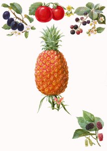 果物