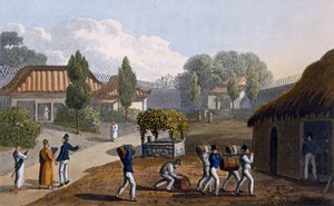 ルーチュー神殿の庭園、1820年（着色されたアクアチント） 作： English School