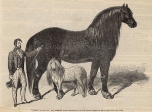 マンモスの馬、ワシントン将軍 作： English School