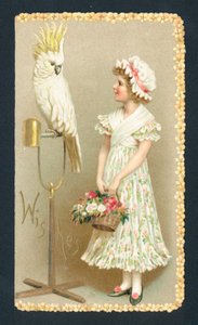 少女とインコ、クリスマスカード