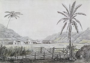 ハルマイスホール、ジャマイカ、1780年頃（紙＆紙に黒鉛）