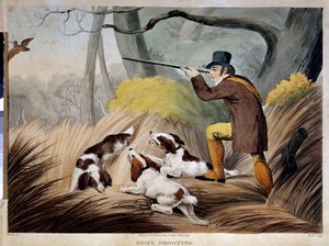 イギリスでくちばしを狩る。19世紀の水彩画の彫刻。ジエン、狩猟博物館。 作： English School