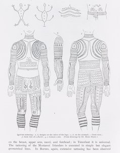 Igorrote tattooing、from the History of Mankind、Vol.1、by Prof. Friedrich Ratzel、1896 作： English School