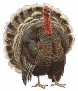 トルコのイメージ