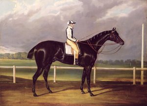 1824年にセントレガーを制したジェリー（油彩・キャンバス 作： English School