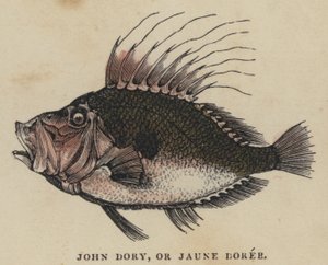 ジョン・ドリー（Jaune Doree）」（彩色済み彫刻 作： English School