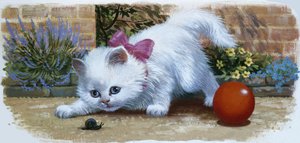 カタツムリとボールの子猫