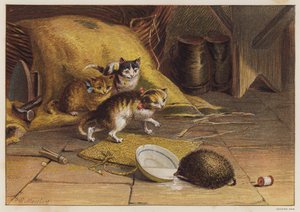 ハリネズミに当惑する子猫たち (色リソ) 作： English School