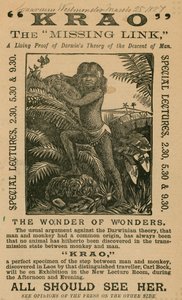 1887年にロンドンのウェストミンスター水族館に展示されたミッシングリンクのクラオ 作： English School