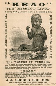 1887年にロンドンのウェストミンスター水族館に展示されたミッシングリンクのクラオ 作： English School