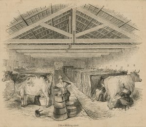 レイコックデイリーファーム、1841年7月 作： English School