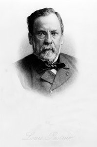 ルイ・パスツール（1822-95） 作： English School