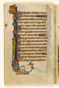 MS 1-2005、Fol。 47v：Macclesfield Psalter、イーストアングリアの使用、1330年頃のグロテスクな周辺装飾 作： English School