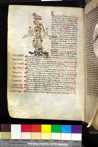 MSハンター251 f.47v「干支の男」のイラスト、1475年〜1500年頃（ヴェラムにペンとインクとテンペラ 作： English School