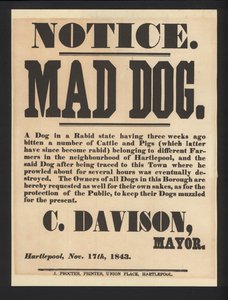 狂犬の注意、ハートリプール、1843年 作： English School
