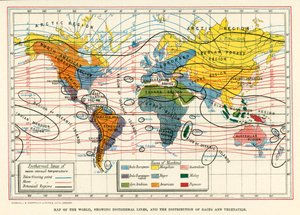 等温線、人種と植生の分布を示す世界地図（カラーリトグラフ） 作： English School
