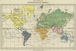 動物の分布を示す地図（カラーリトグラフ） 作： English School