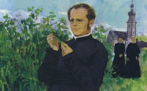 修道院で学ぶメンデル 作： English School