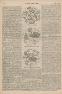水の顕微鏡画像 作： English School