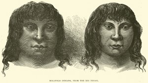 Índios Miranhas, do Rio Negro 作： English School