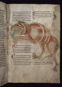 Ms.254 f.24 r Cocodrillus男を飲み込む 作： English School