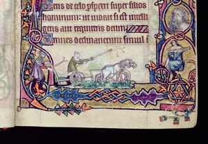 Ms 1-2005, ff.76v-77r:ダビデと愚か者」（1330年頃、東アングリアのサルムで使用されたマックルスフィールド・プサルターの歴史的イニシャル）（ヴェラム製 作： English School
