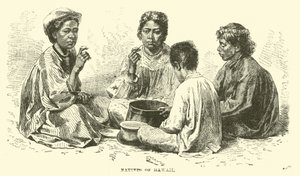 ハワイの先住民 作： English School
