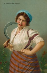 ナポリタングリーナー 作： English School