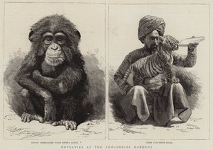 動物園のノベルティ（彫刻 作： English School