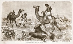 ダチョウの狩猟-追跡の終わり、J。ユーイングリッチー著のThe Pictorial Edition of the Life and Discoveries of David LivingstoneのイラストA. Fullarton＆Co.、1876年 作： English School