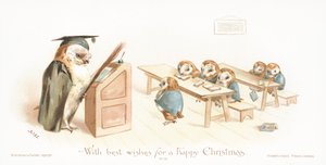 教室でフクロウを教えるフクロウ！クリスマスカード