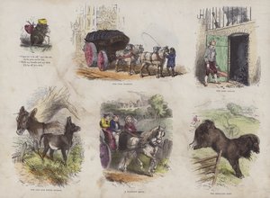魅力的な絵本のページ（彩色済み彫刻 作： English School