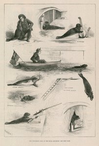 王立水族館で封印を行う 作： English School