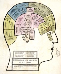 骨相学的頭部とチャート、パブ。1857年（カラーリトグラフ 作： English School