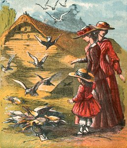 トウモロコシを食べに来る鳩 作： English School