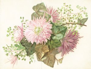 ピンクの花（ダリア）、カード 作： English School