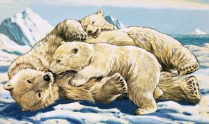 シロクマと子グマ（紙にグワッシュ）