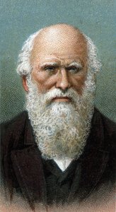 チャールズ・ロバート・ダーウィン（1809-1882）の肖像 - シリーズ「人間のリーダーたち」より - クロモリトグラフ - イギリス派、20世紀 - 。 作： English School