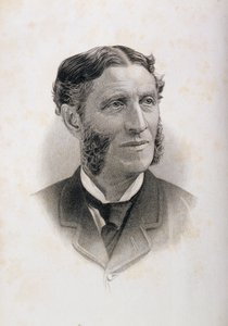 マシューアーノルドの肖像（1822-88）、 作： English School