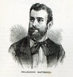 ペレグリノマッテッチの肖像、「レジャーアワー」、1888年