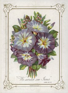 花の花束 作： English School
