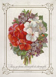 花の花束 作： English School