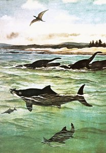 先史時代の海の生き物
